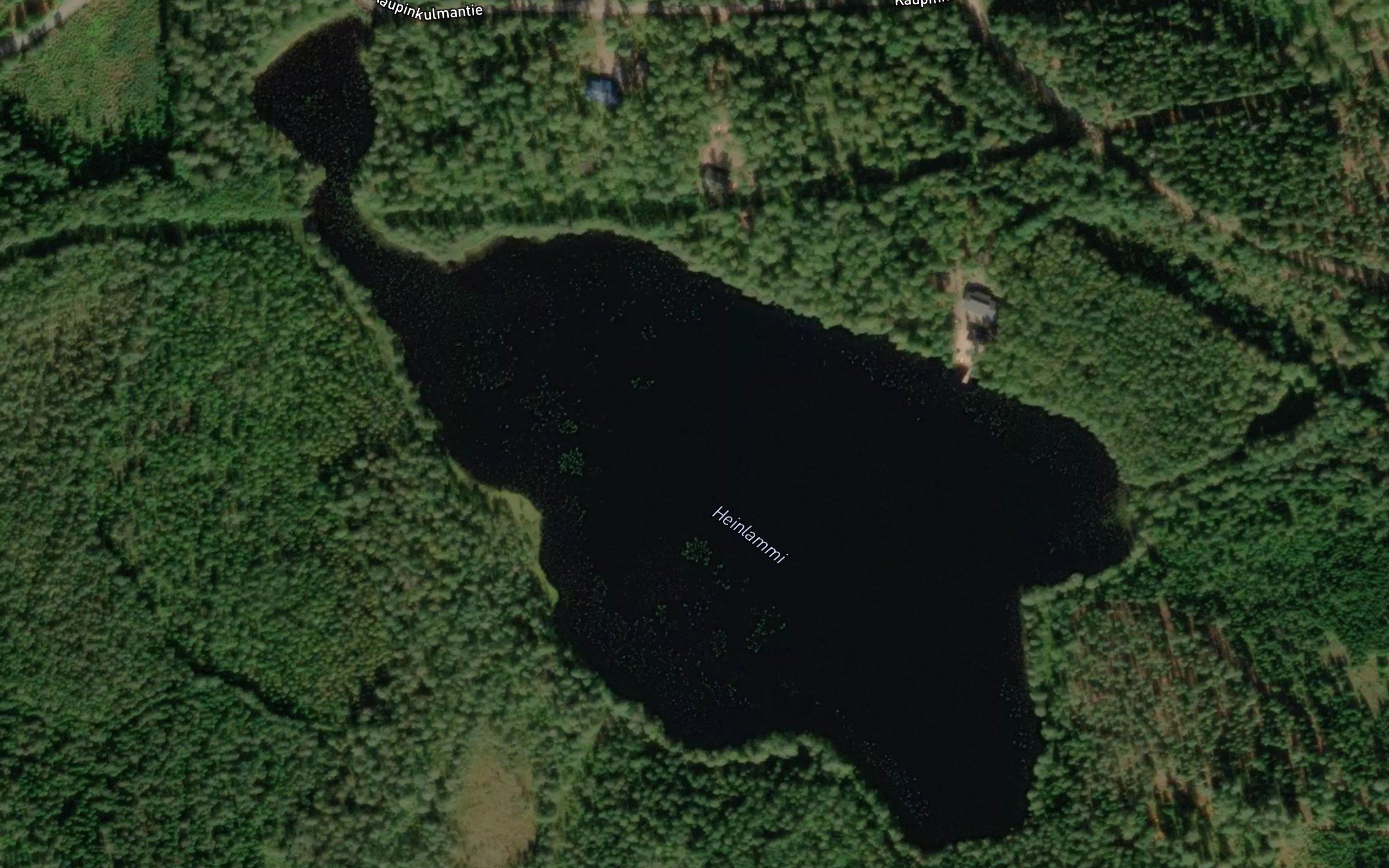 Heinlammi