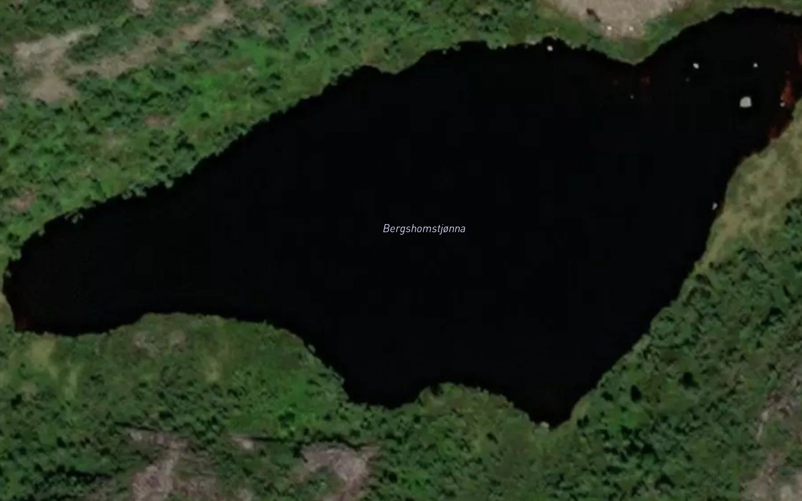 Bergshomtjorni