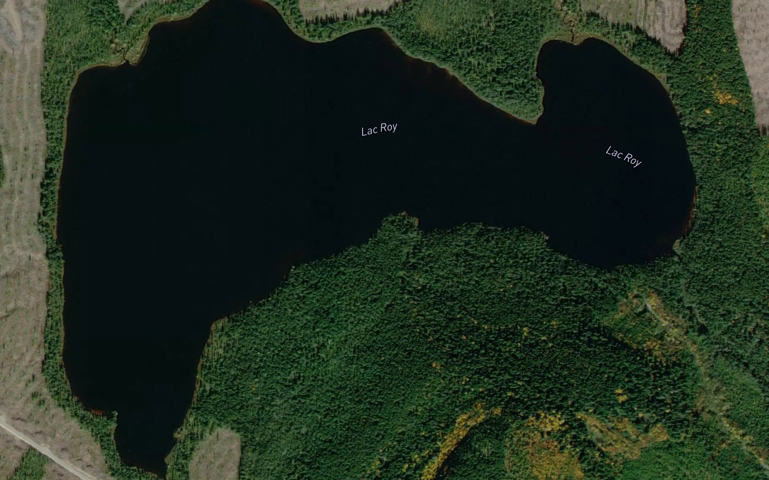 Lac Roy