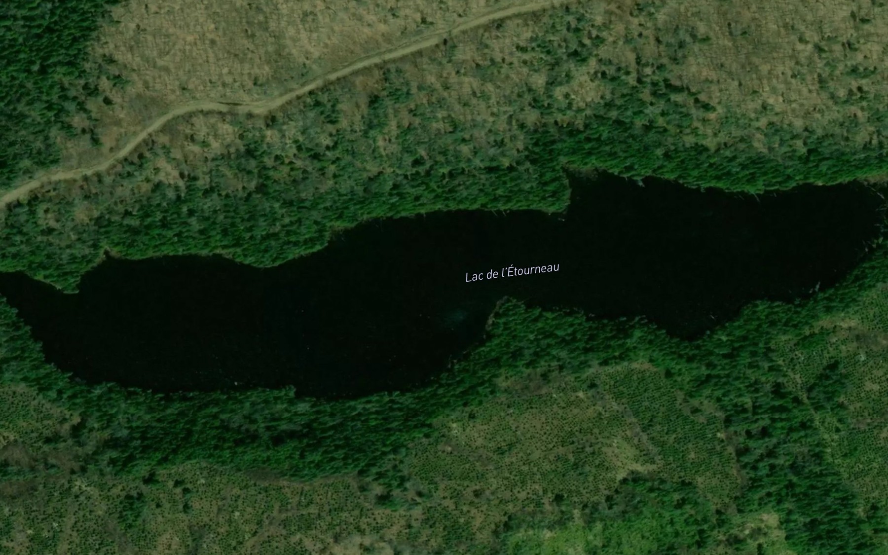 Satellite map of the Lac de l'Etourneau