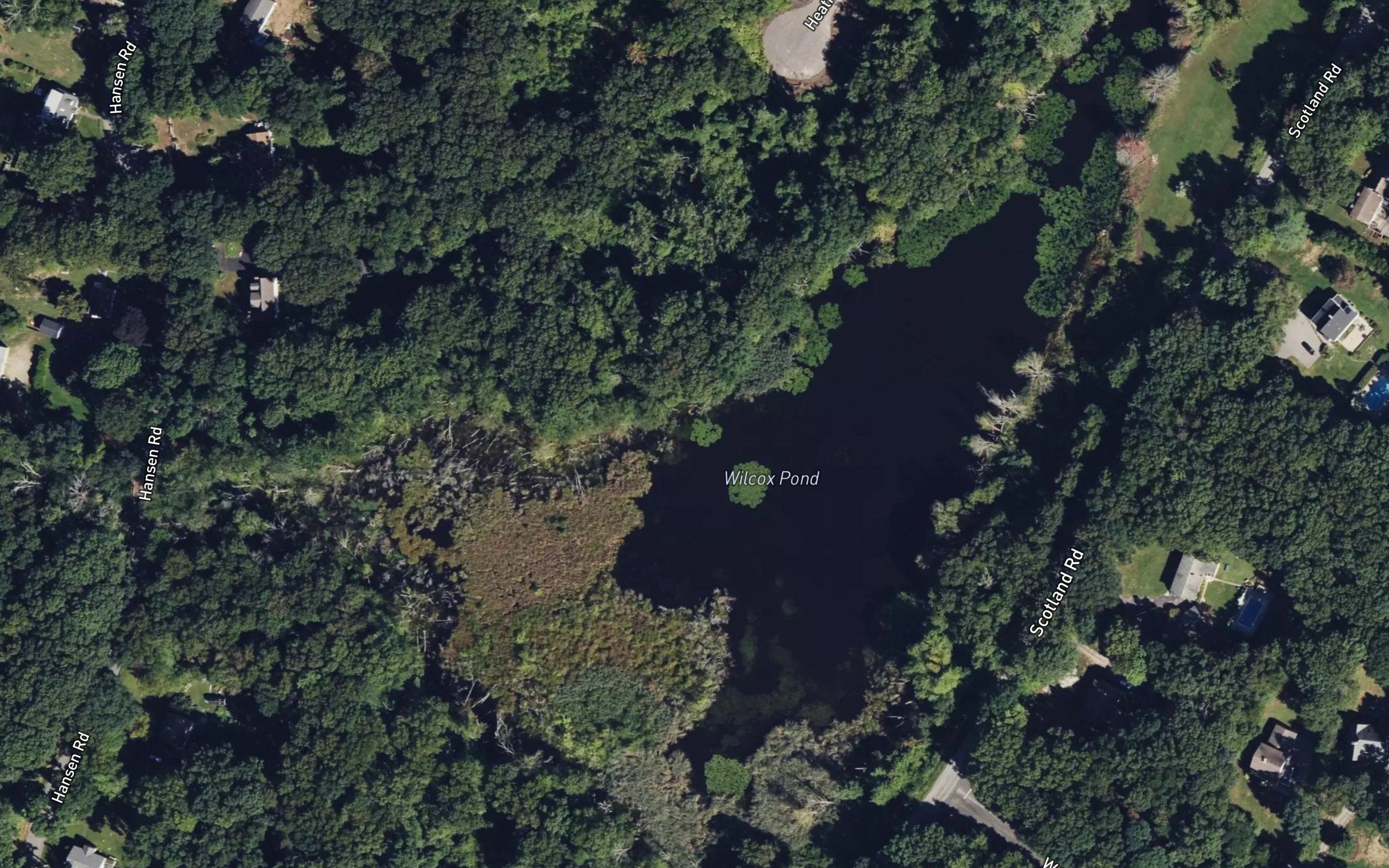 Wilcox Pond