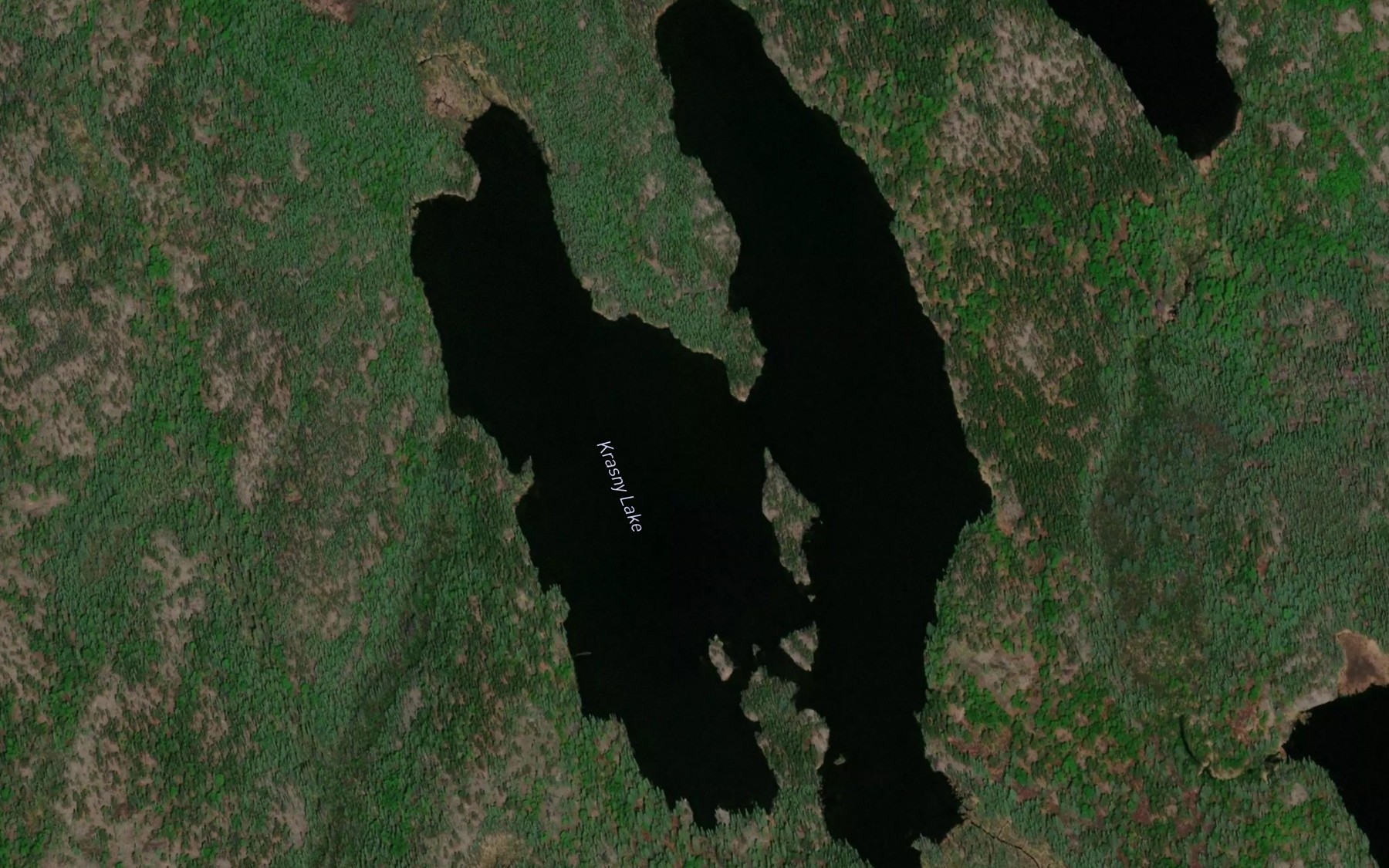 Satellite map of the Krasny Lake