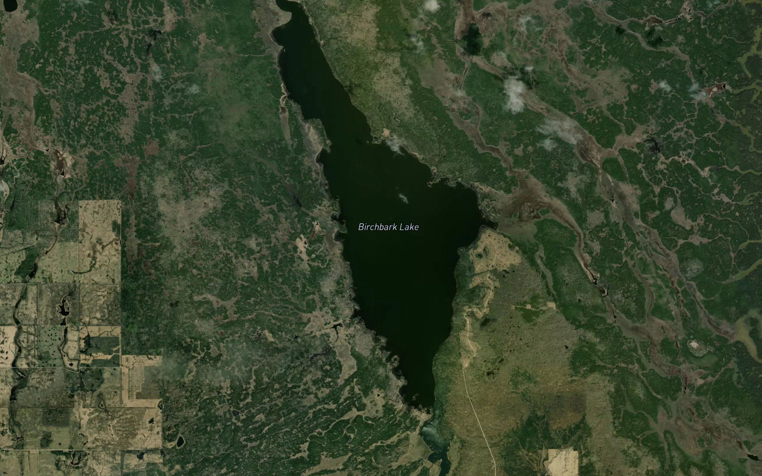 Birchbark Lake