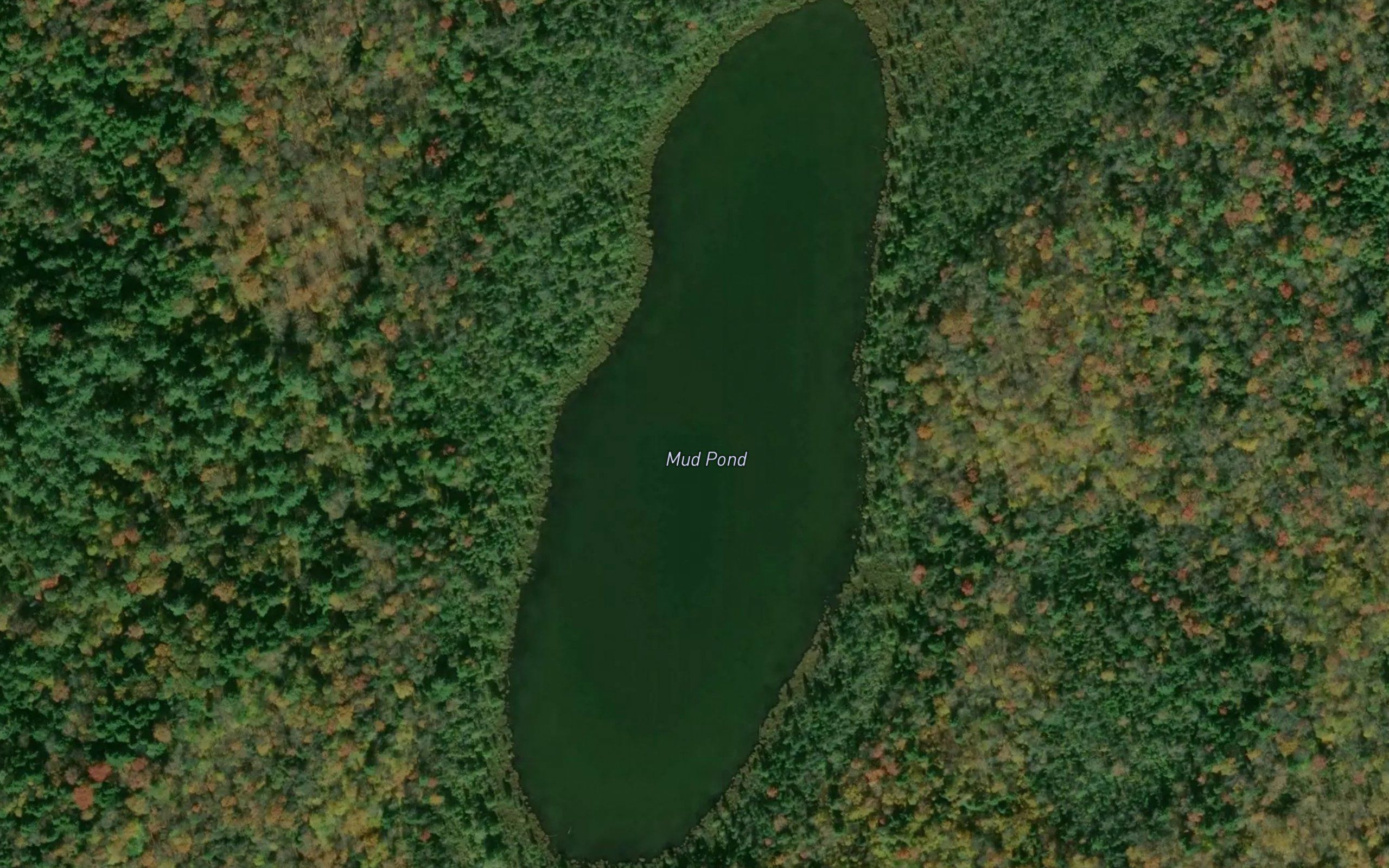 Mud Pond