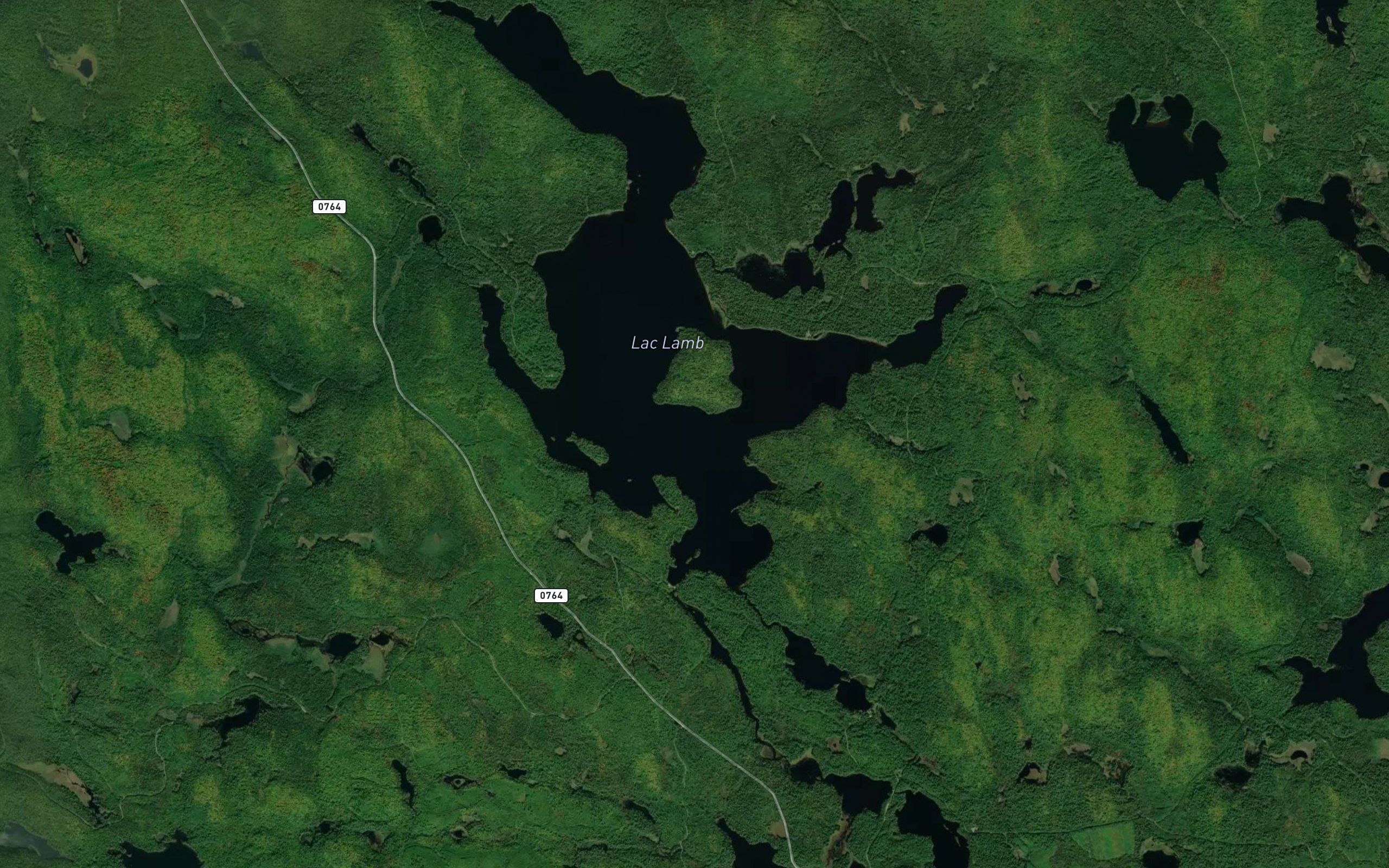 Lac Lamb