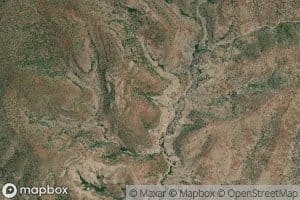 Cottonwood Spring
