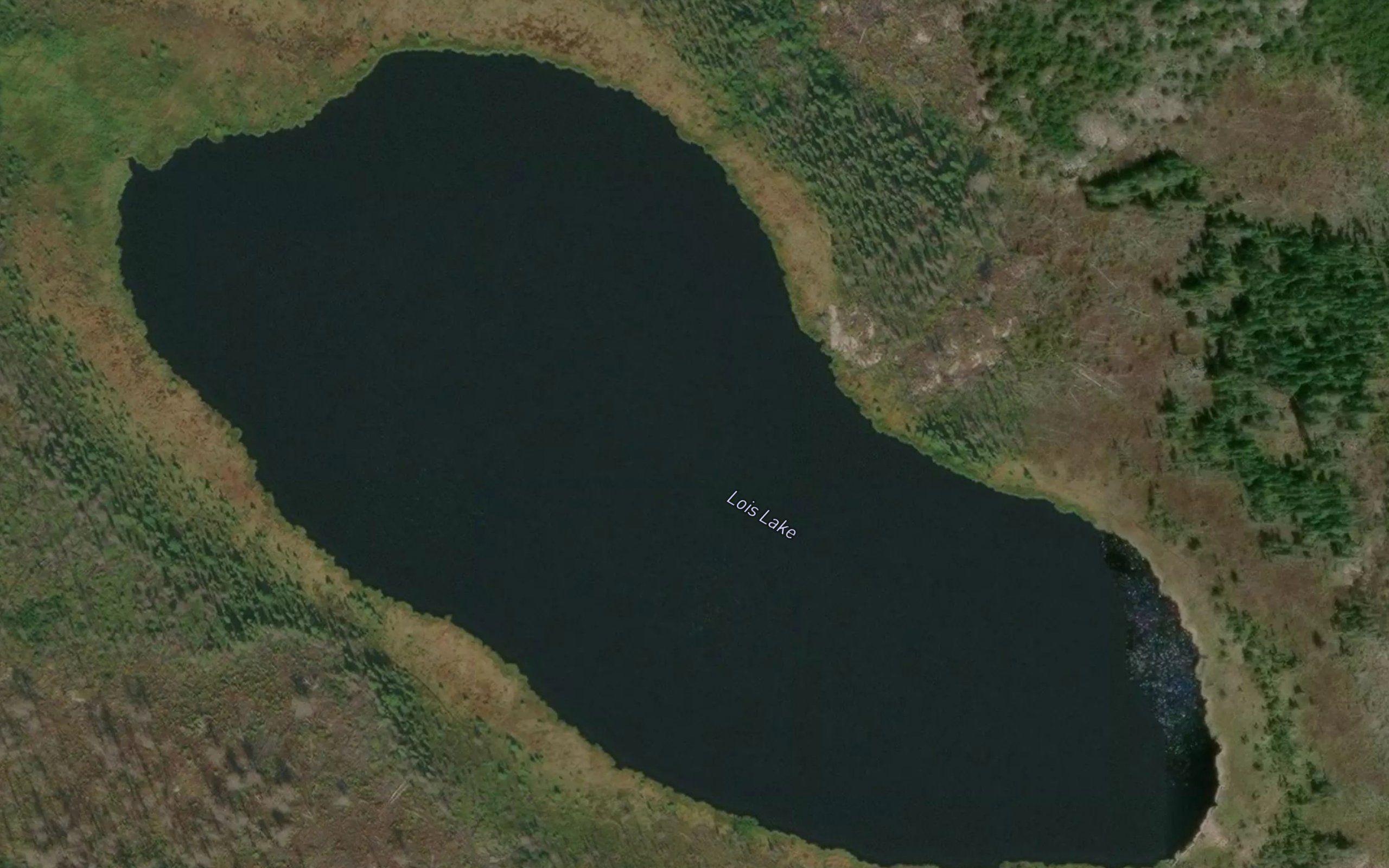 Lois Lake