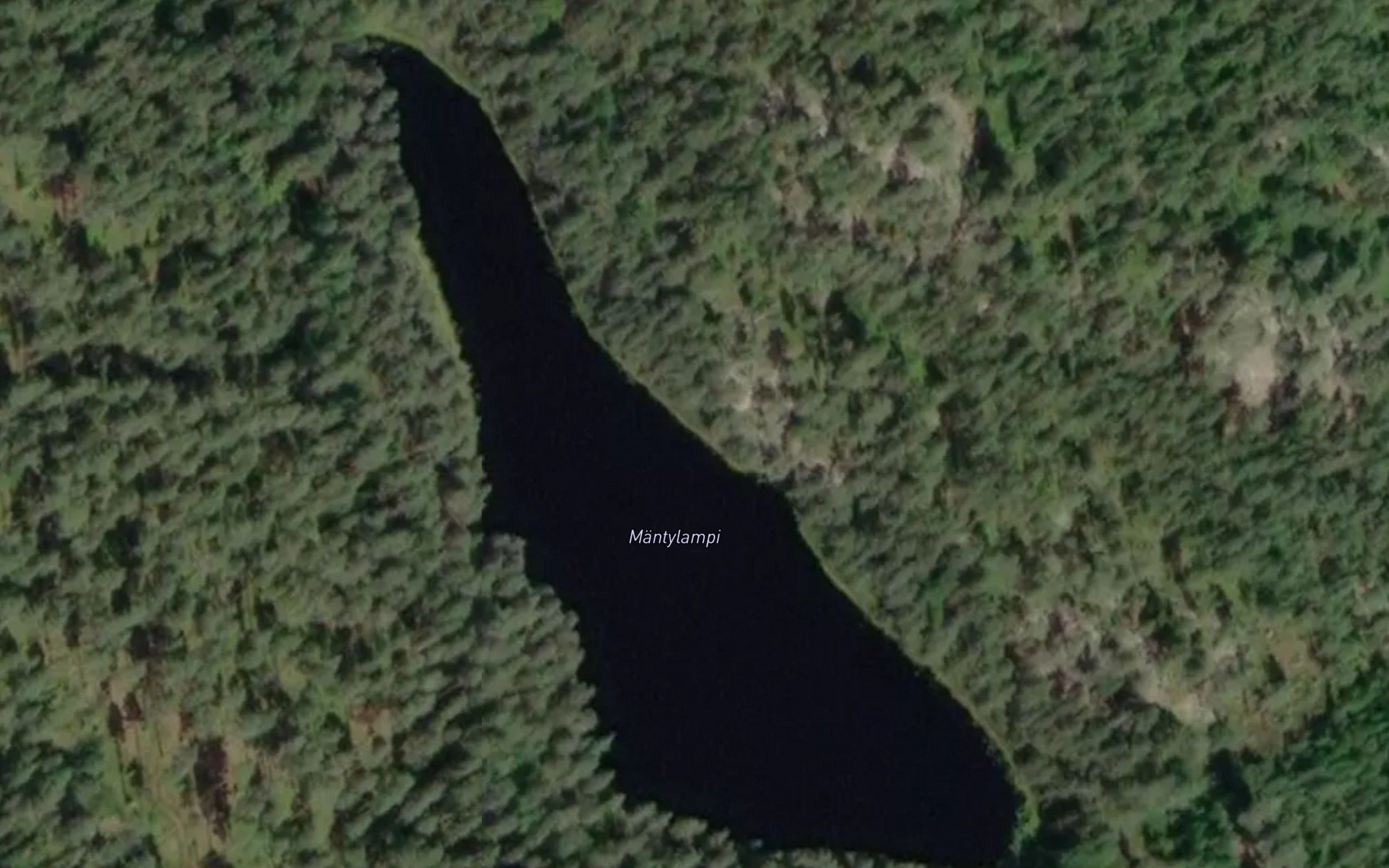 Mantylampi