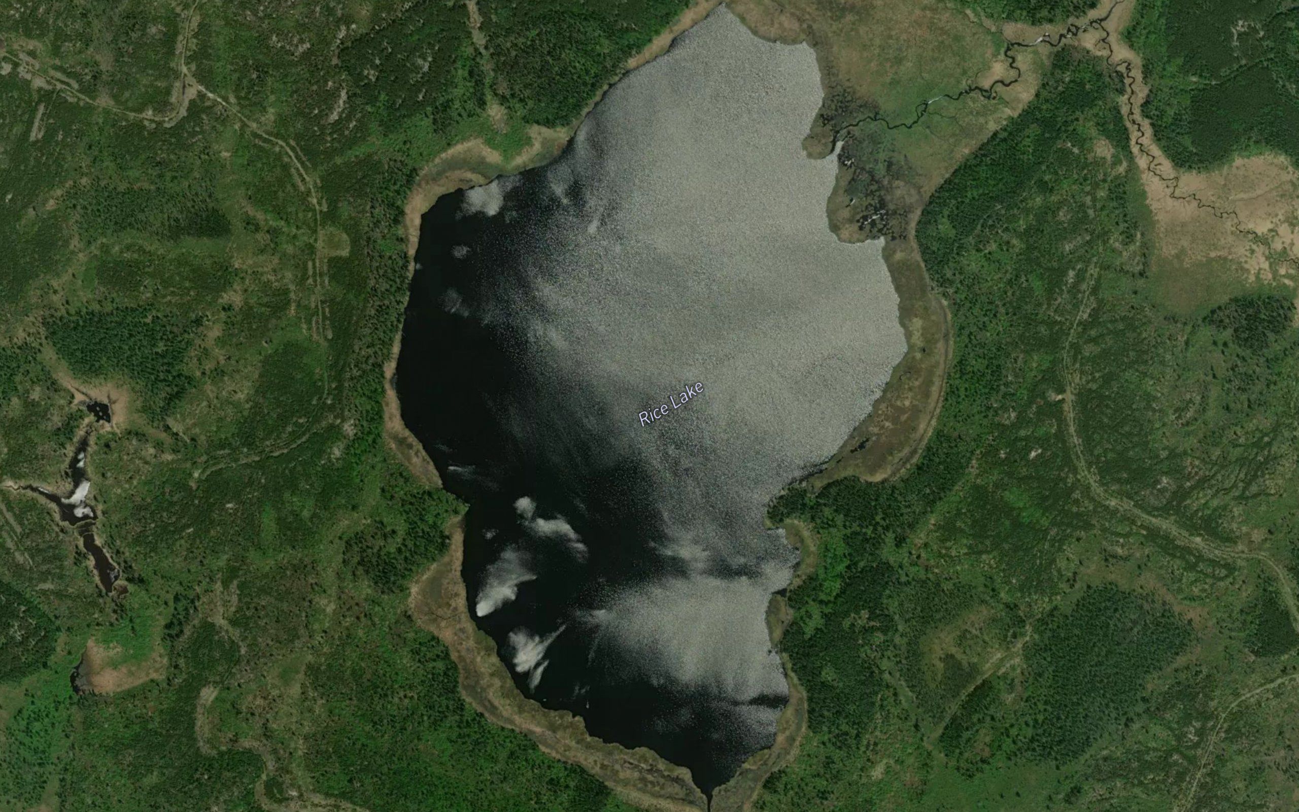 Rice Lake