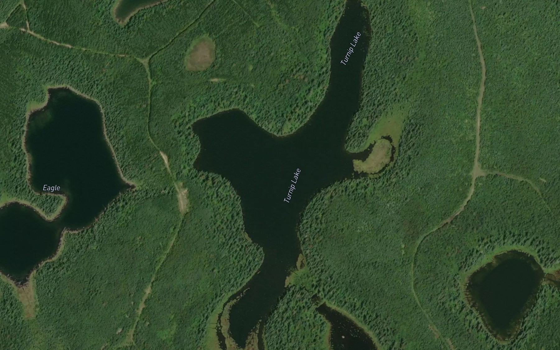 Satellite map of the Turnip Lake