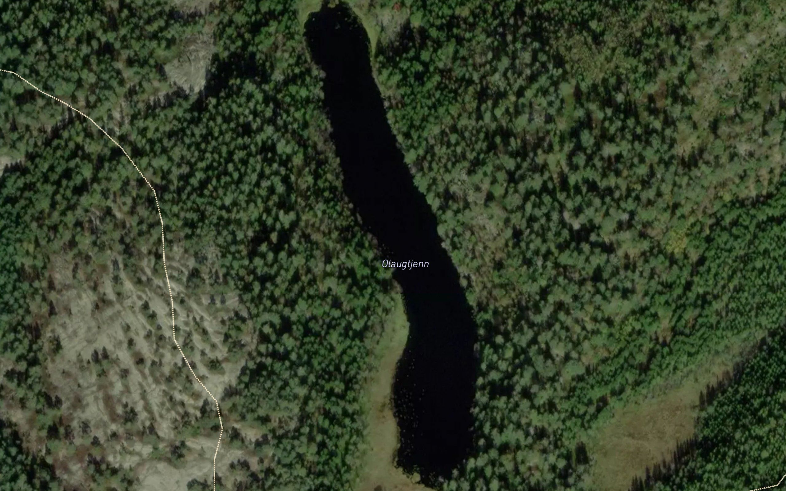 Olaugtjorn