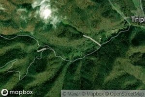 Pounding Mill Branch