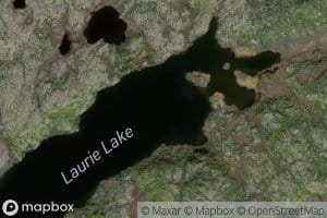 Laurie Lake