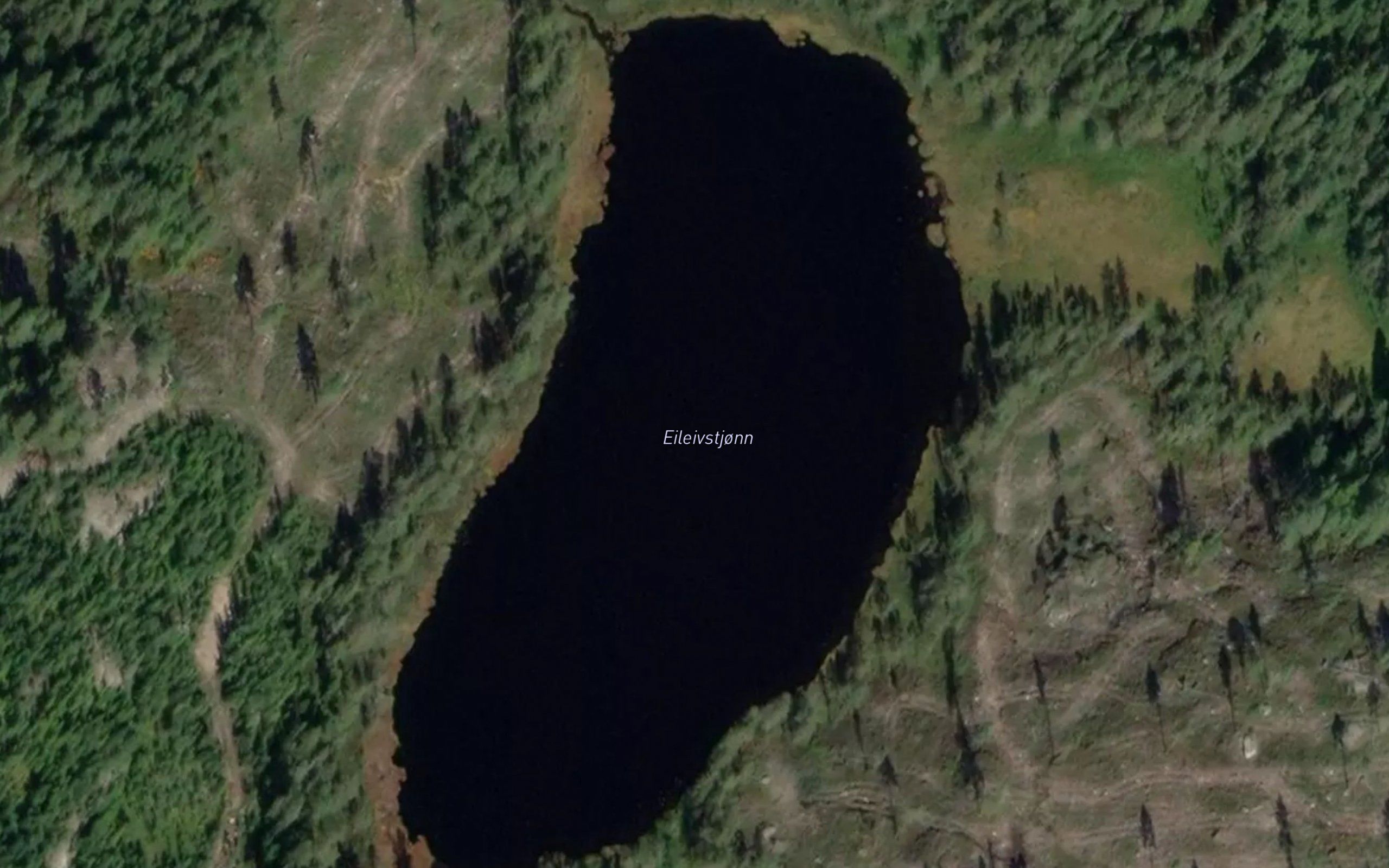 Eileivstjonn