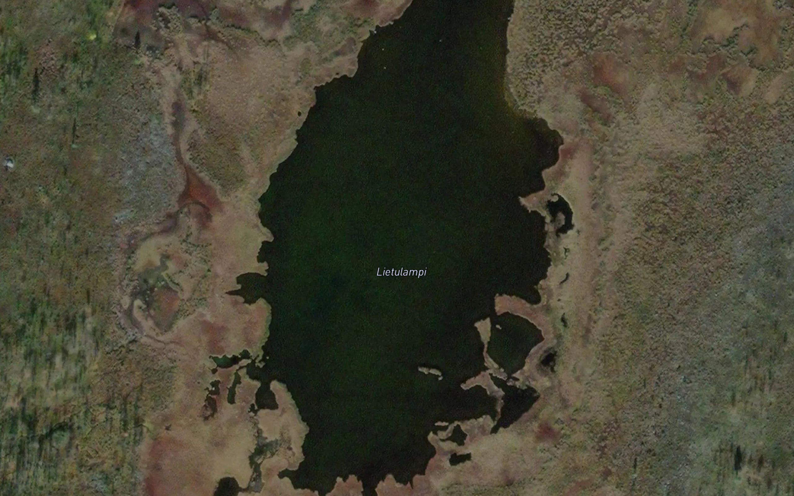 Lietulampi