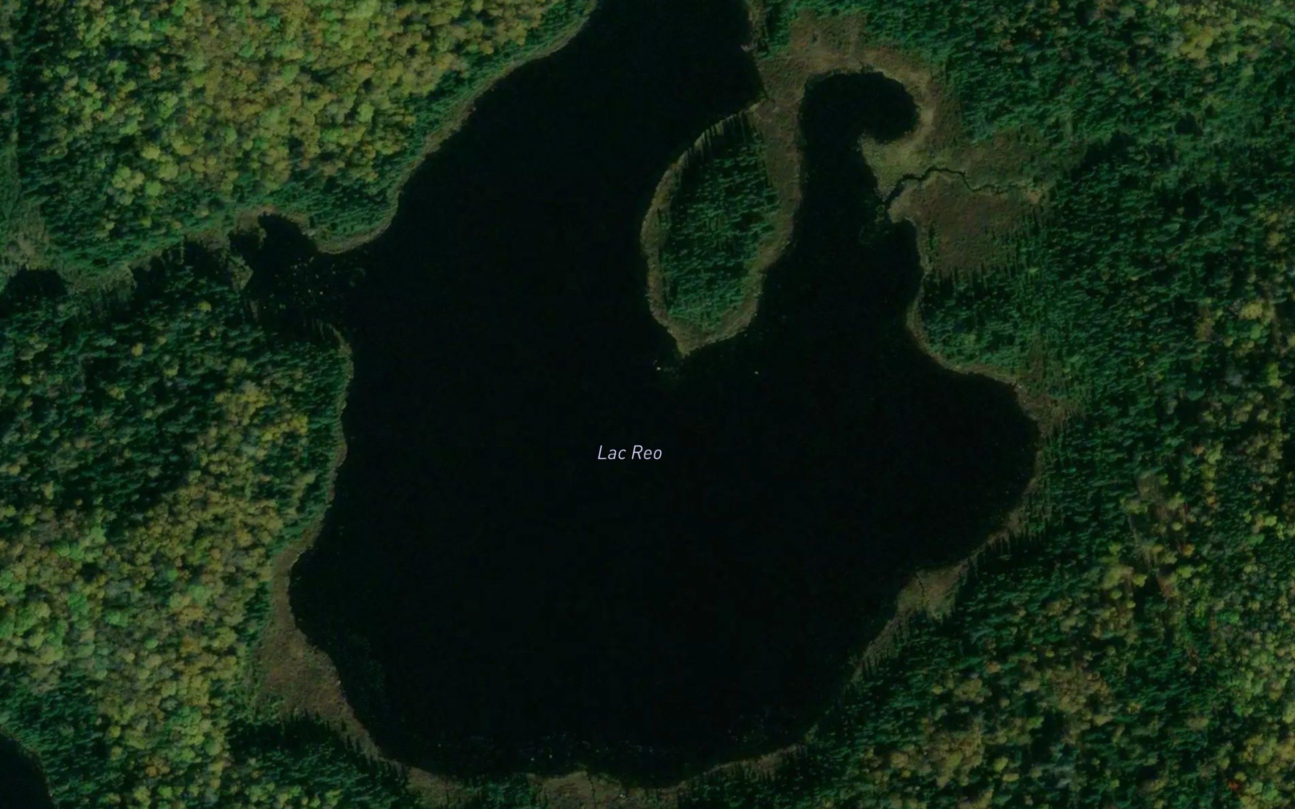 Lac Reo