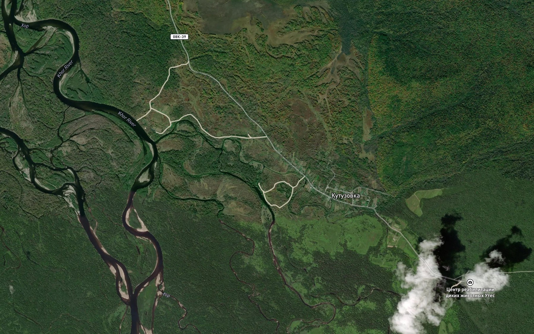 Satellite map of the Shkol'nyy