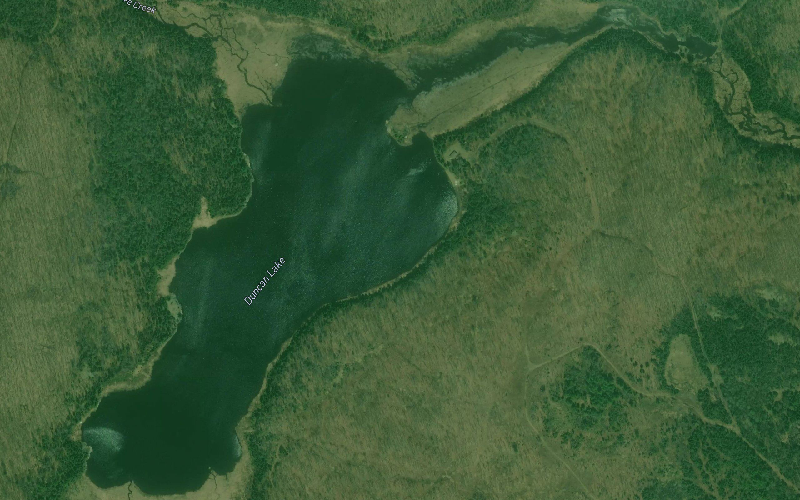 Duncan Lake
