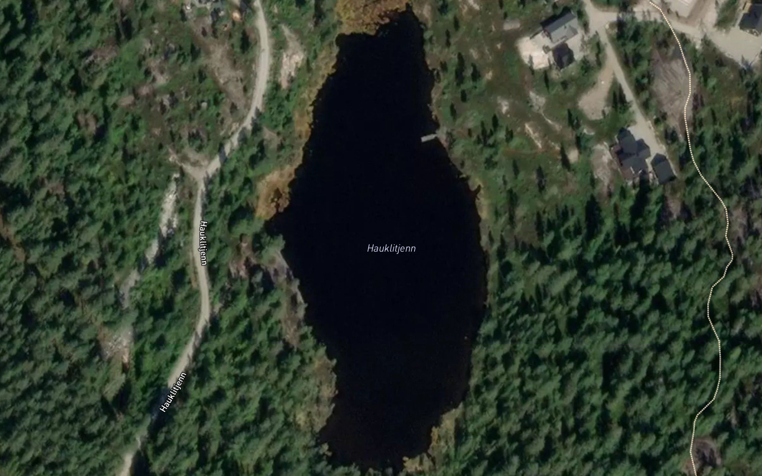 Hauklitjenn