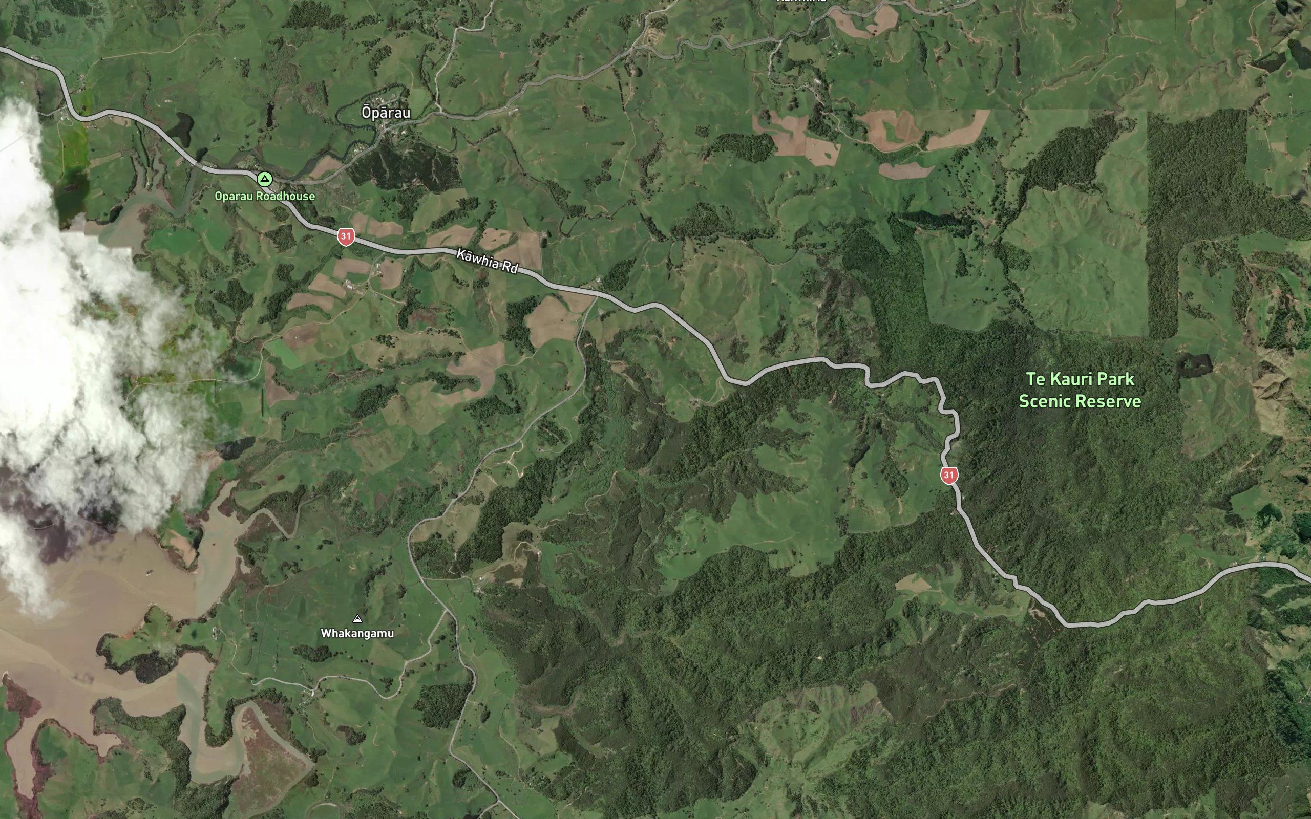 Waiinumia Stream