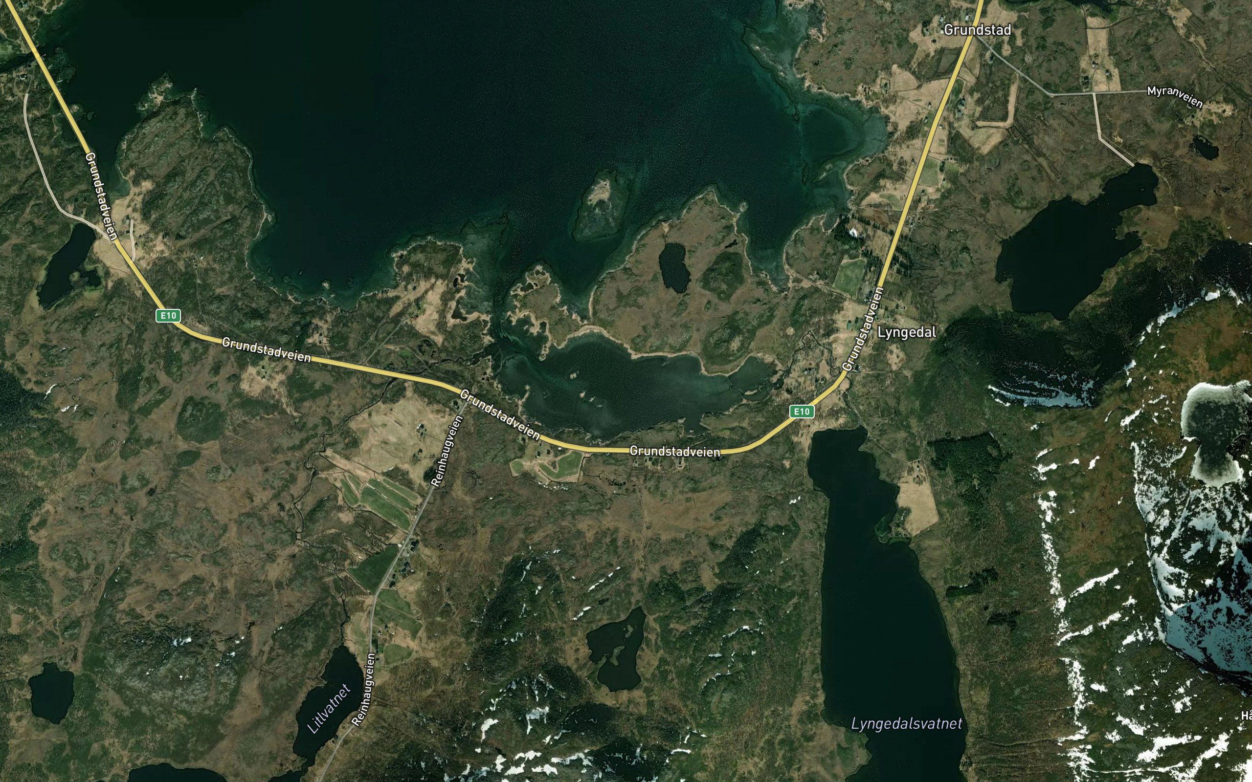 Lyngedalspollen