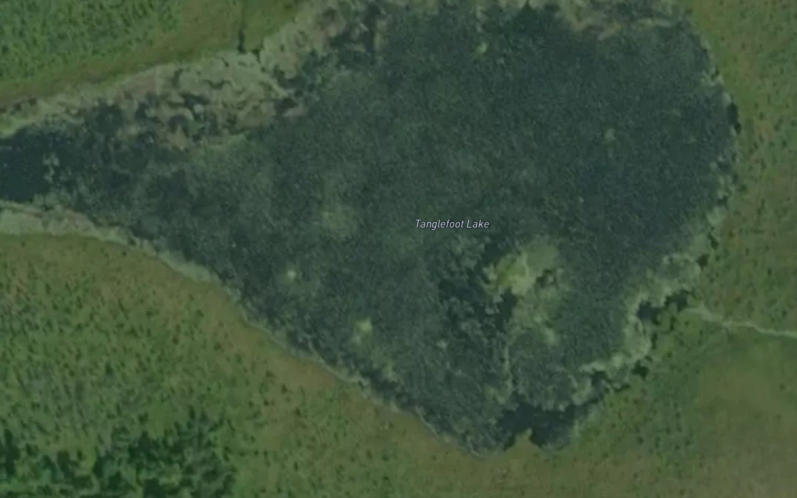 Tanglefoot Lake