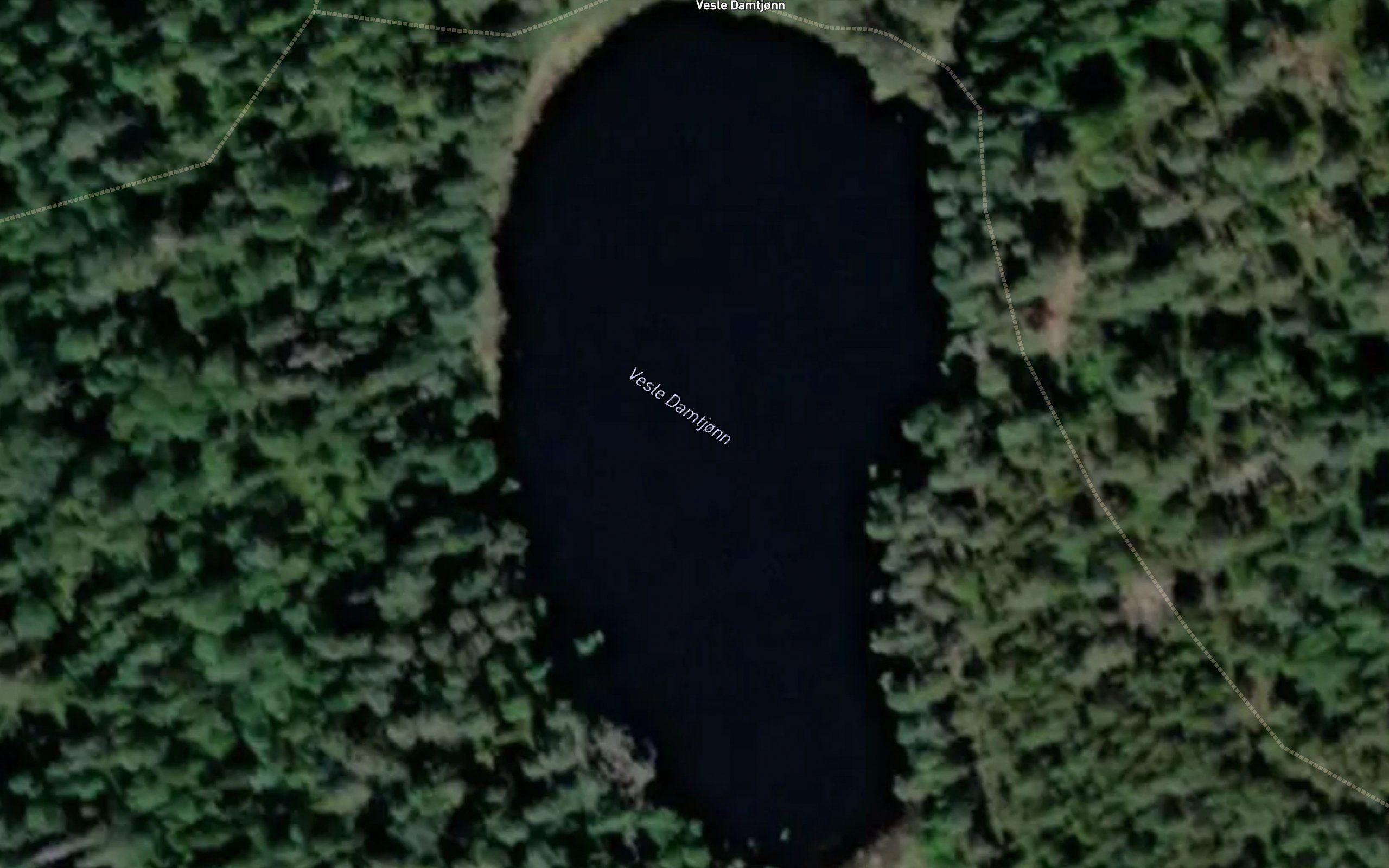Damtjorn,l