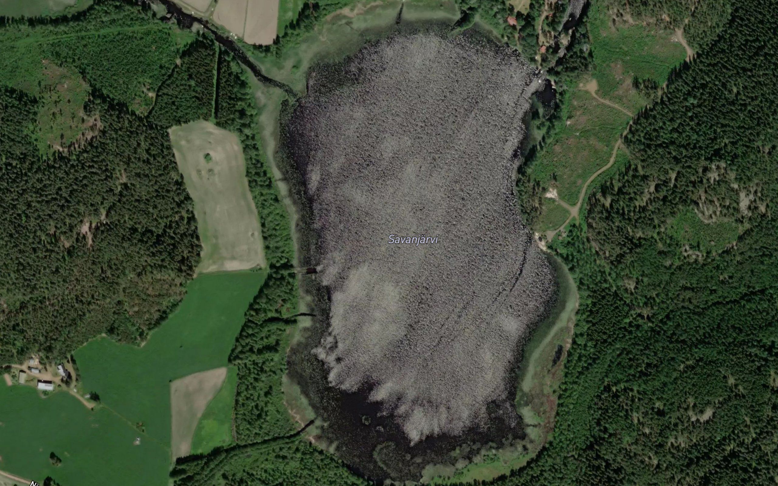 Savanjarvi