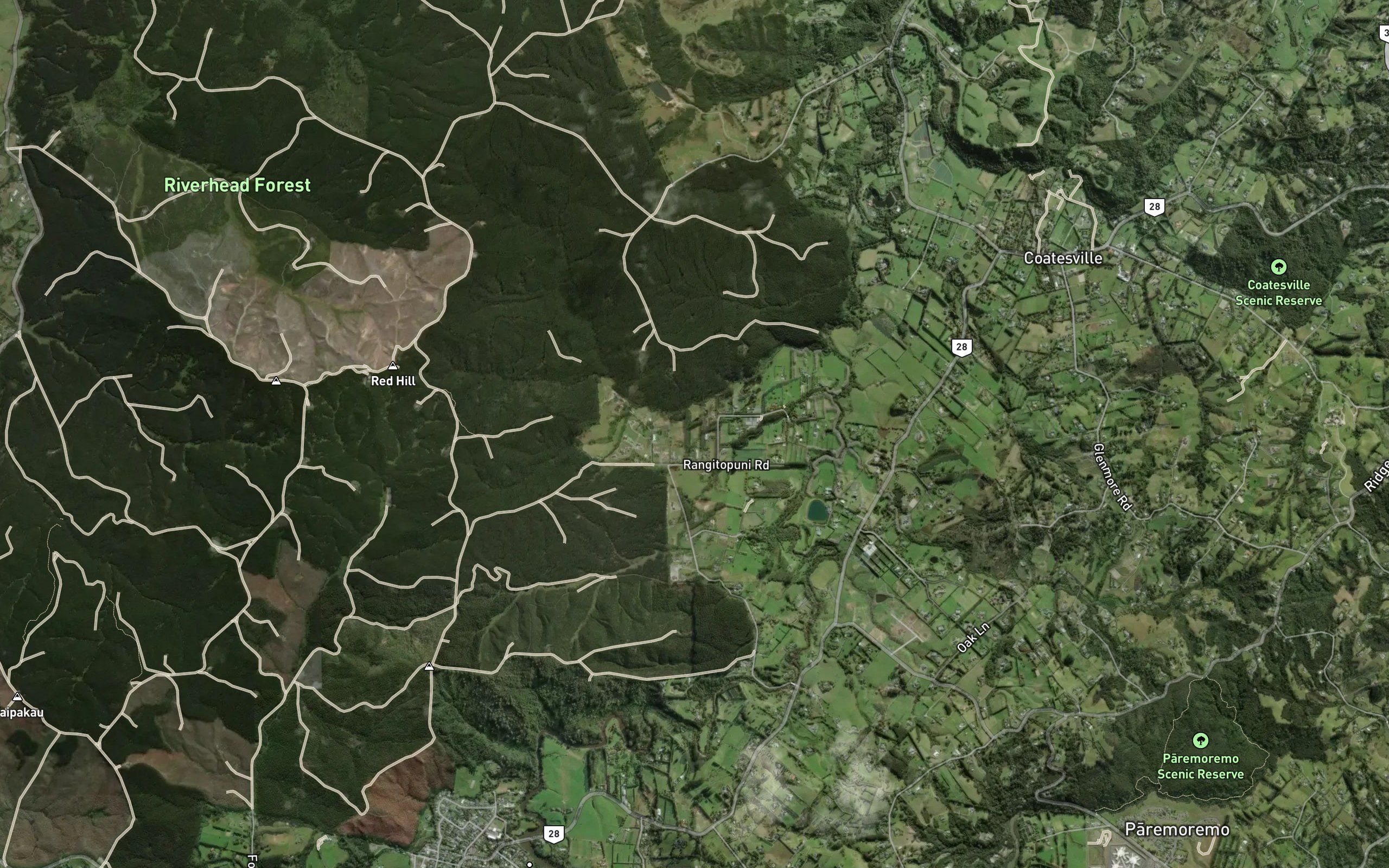 Rangitopuni Stream
