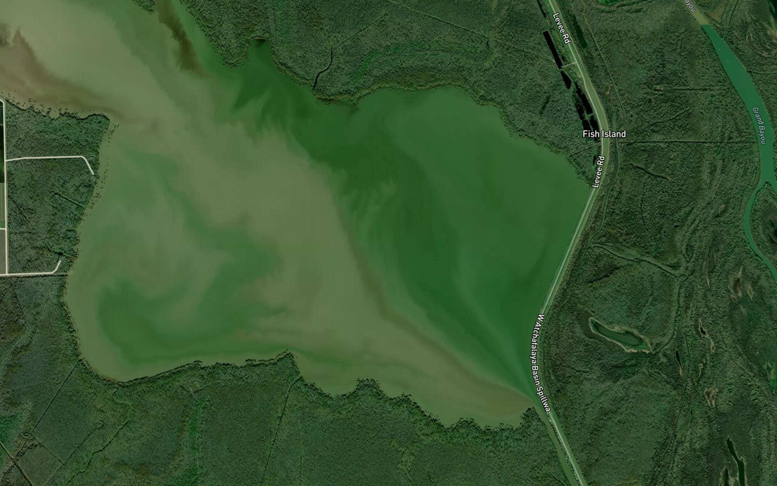 Lake Fausse Pointe