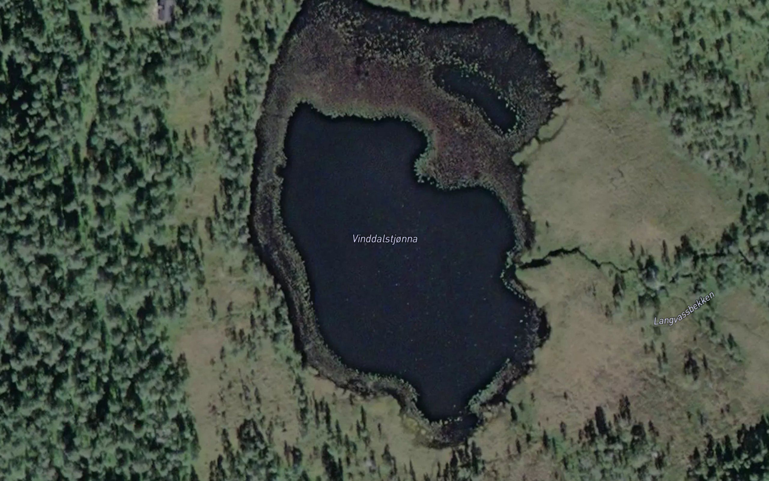 Vinddalstjorna
