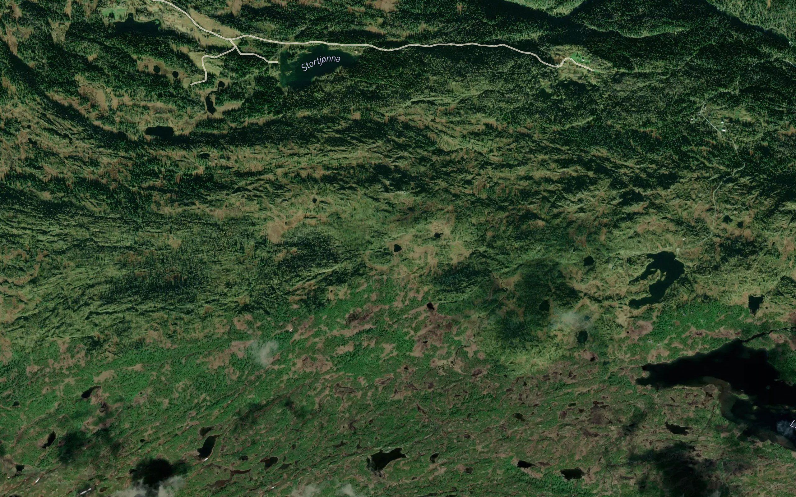 Skjelltjonna