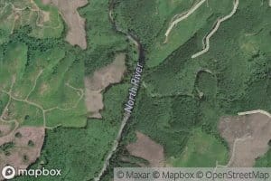 Lower Salmon Creek