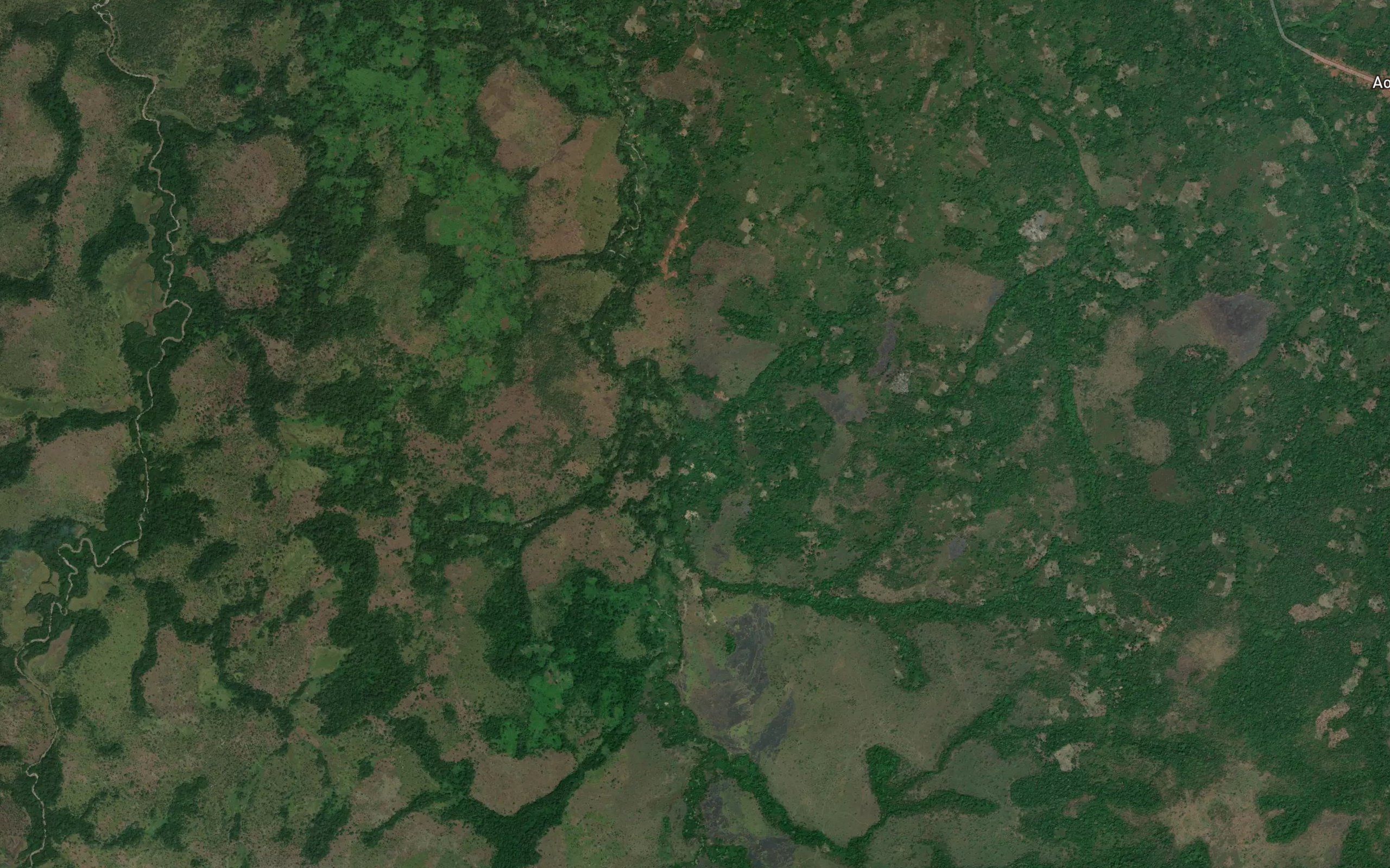 Nguru