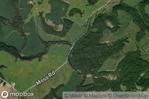 Falling Timber Branch