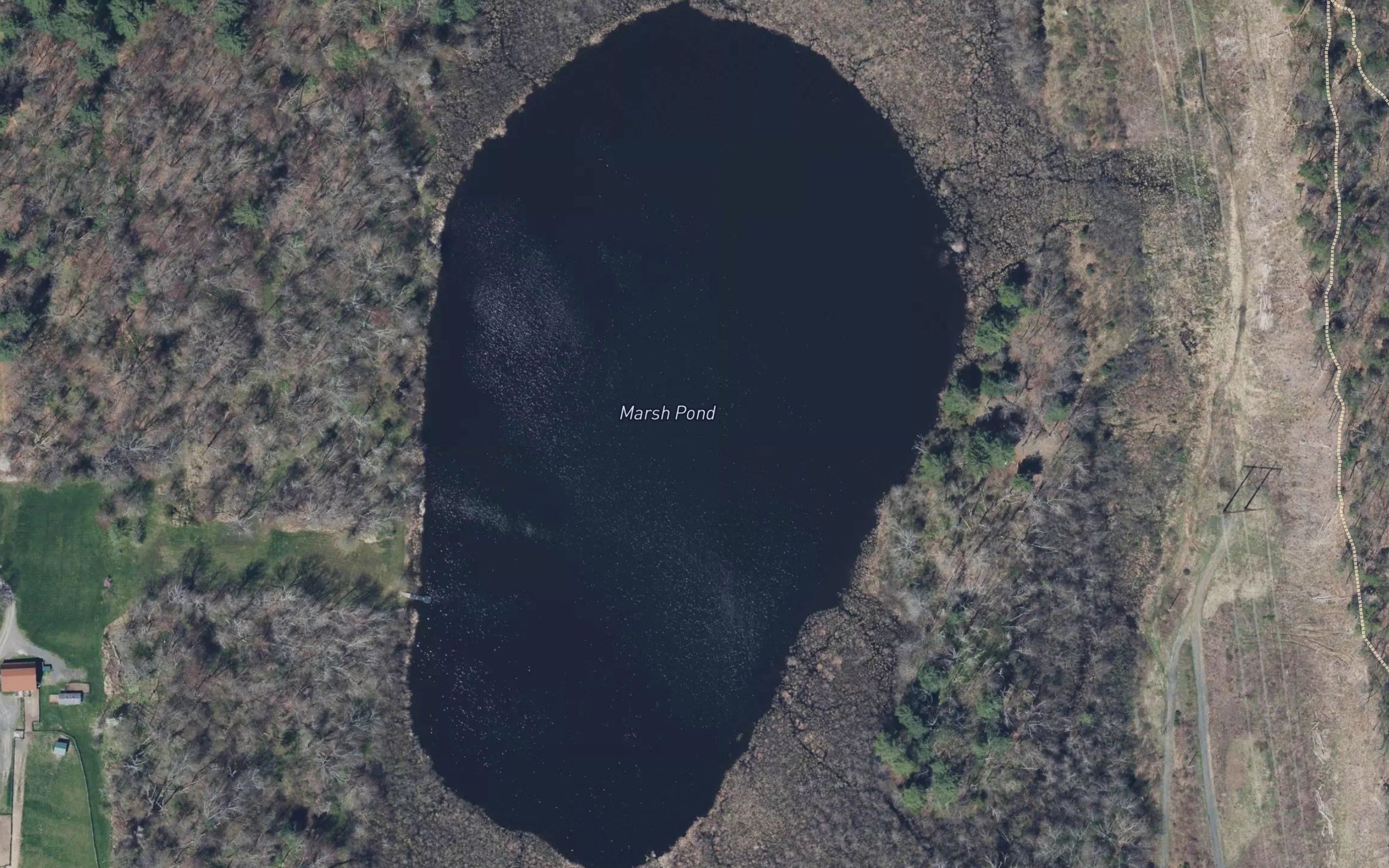 Marsh Pond