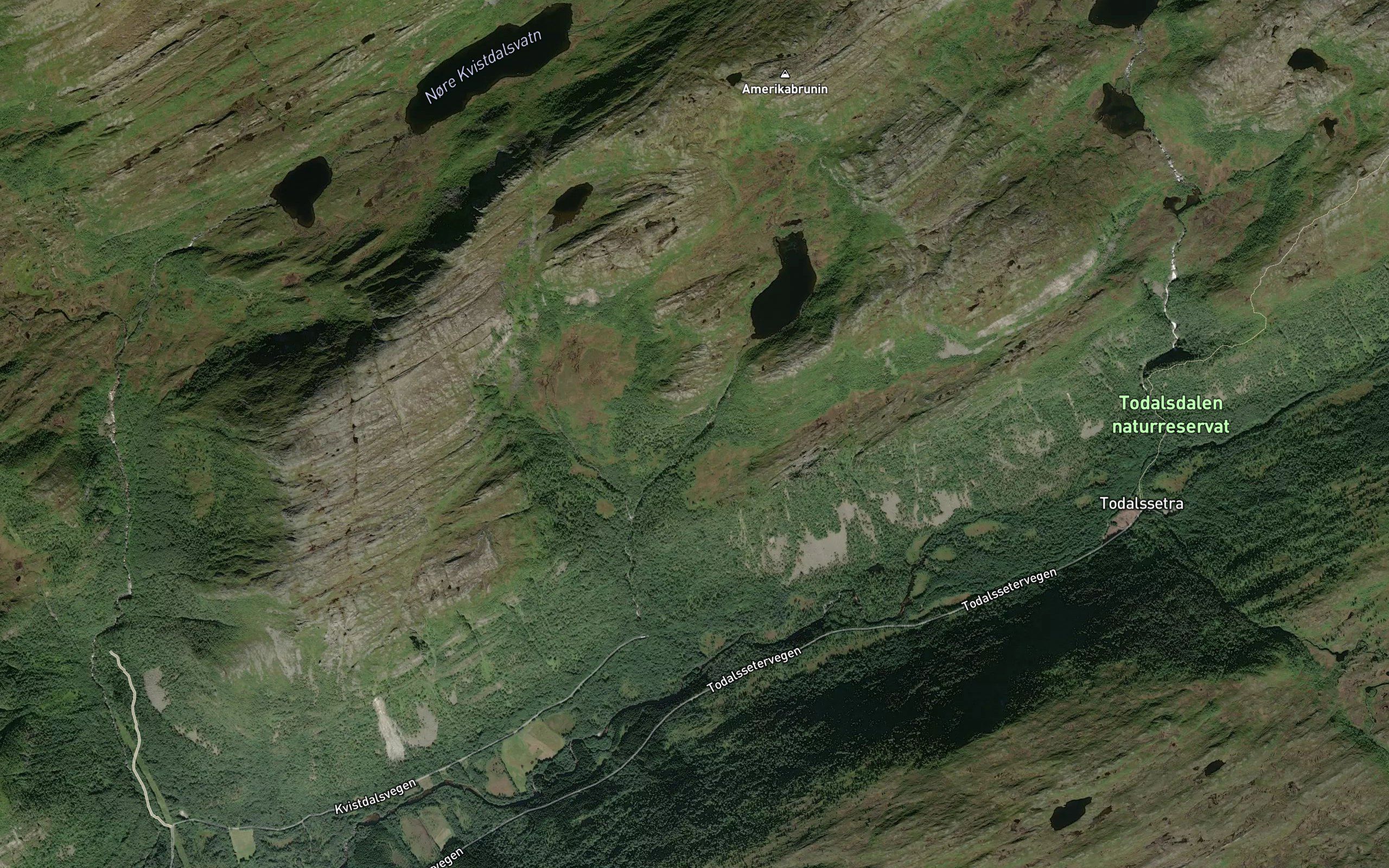 Fjellbekkelva