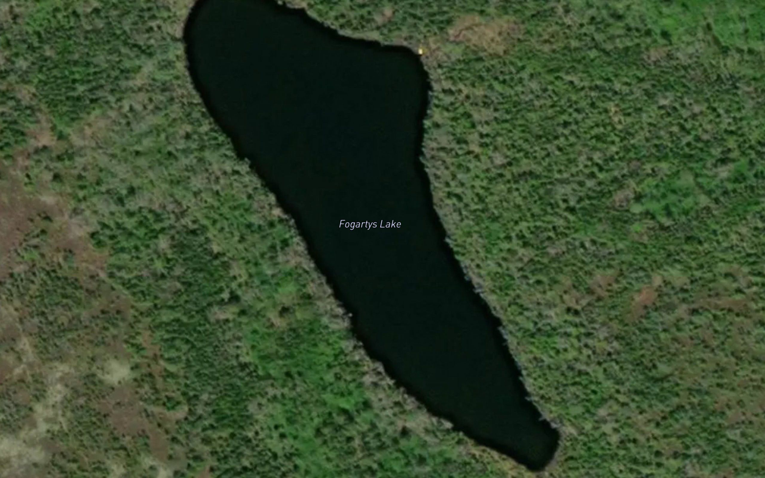Fogartys Lake
