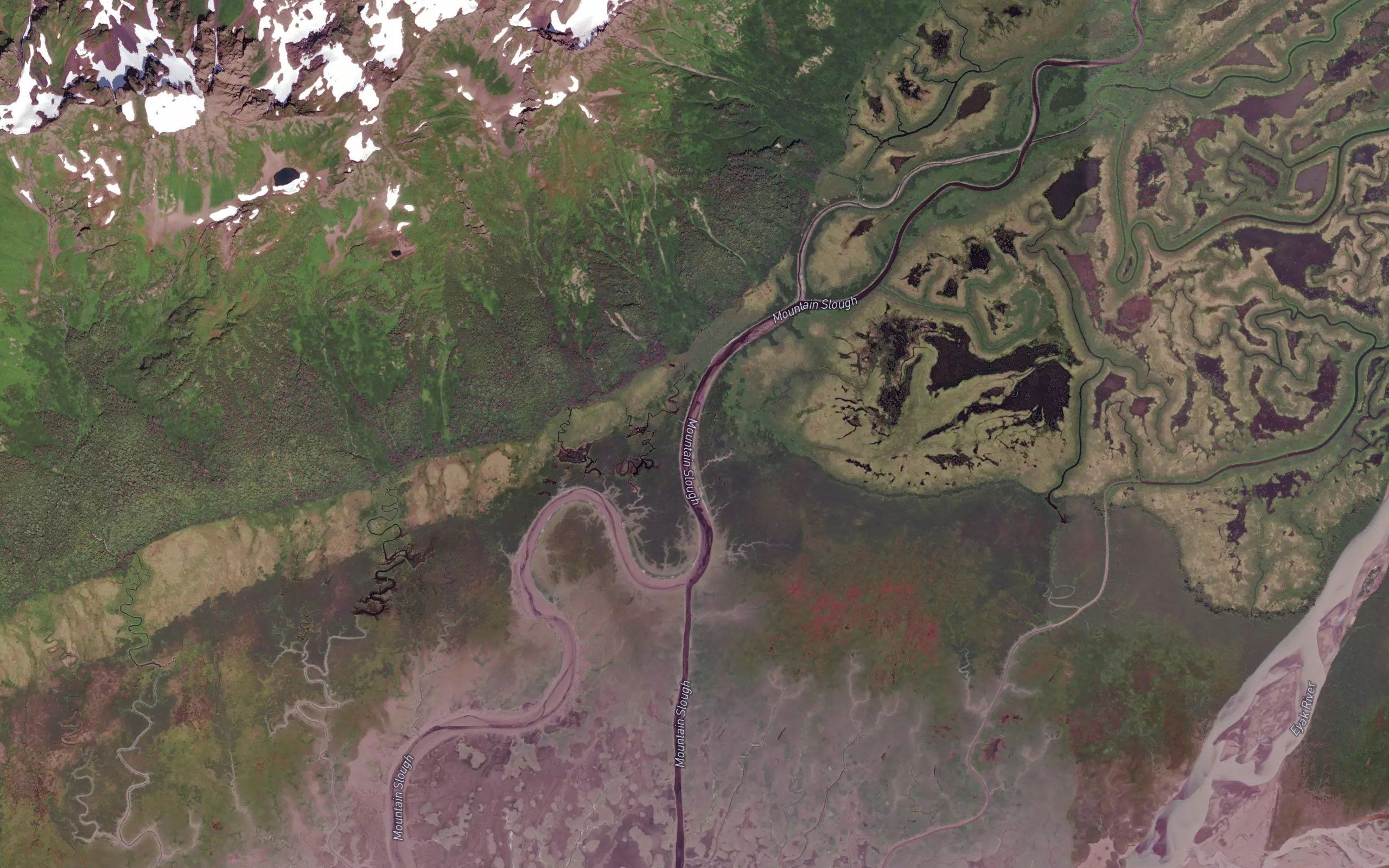 Mountain Slough