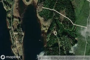 Mustanlamminoja