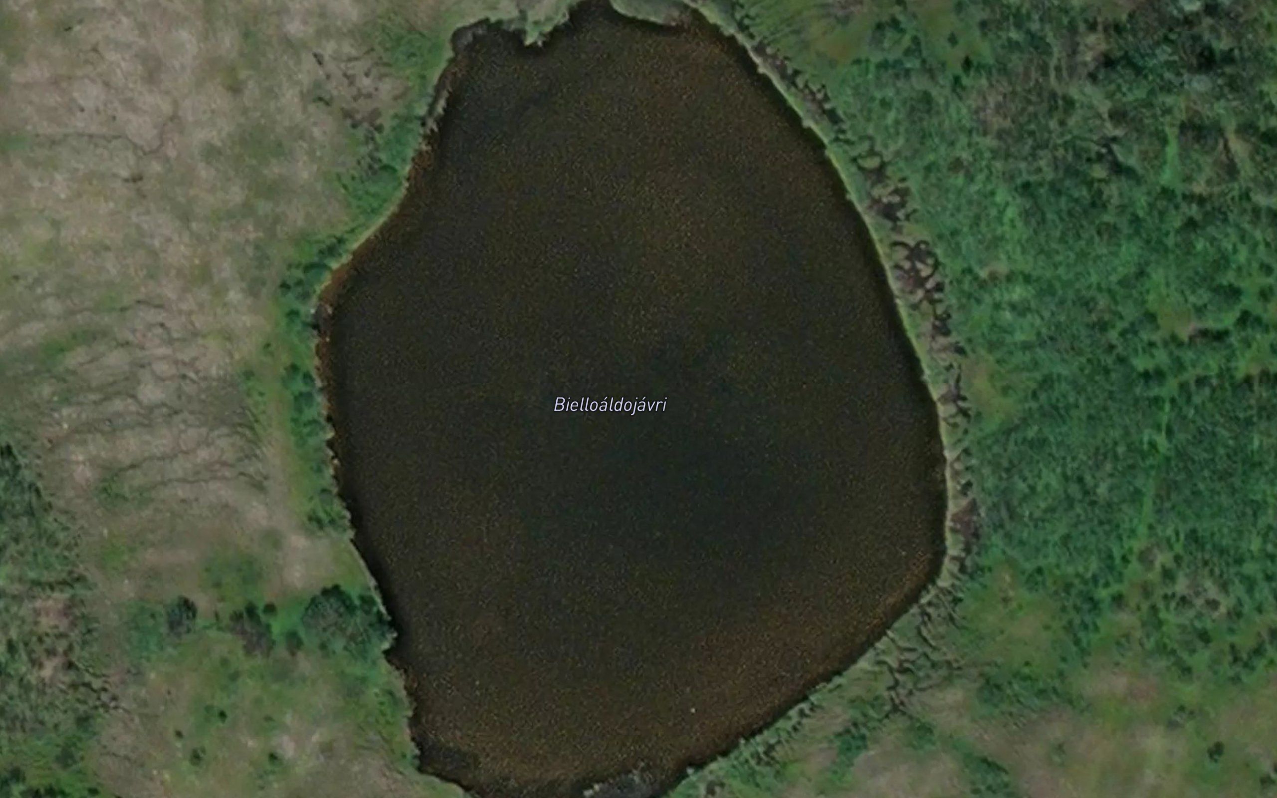 Biellaldujavri