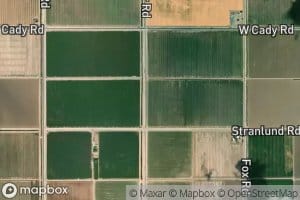 Thistle Lateral Four