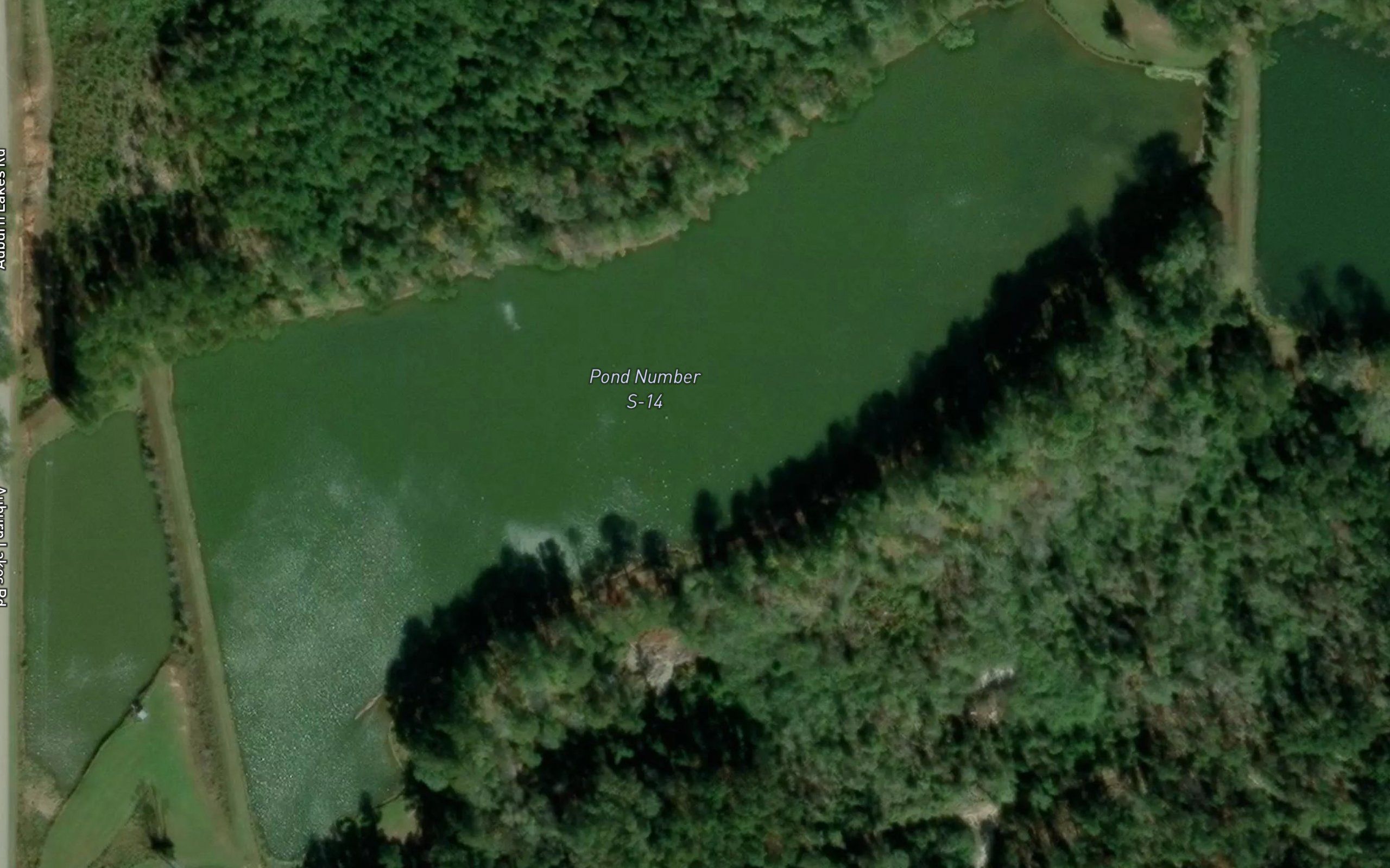Pond Number S-14