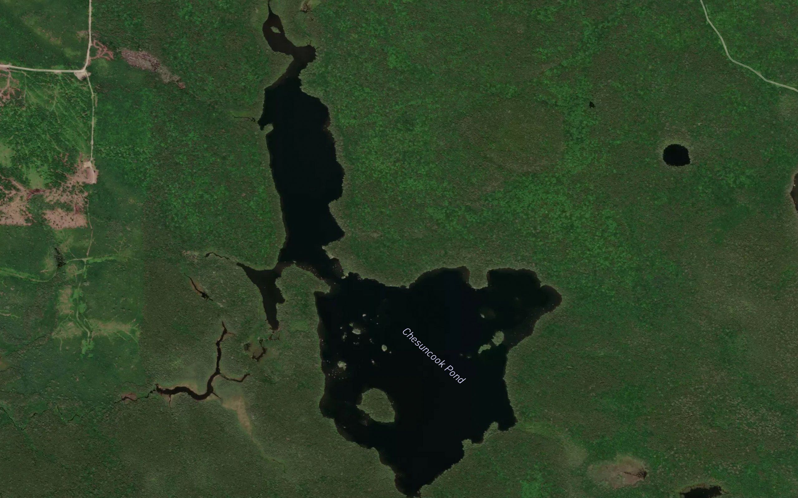 Chesuncook Pond