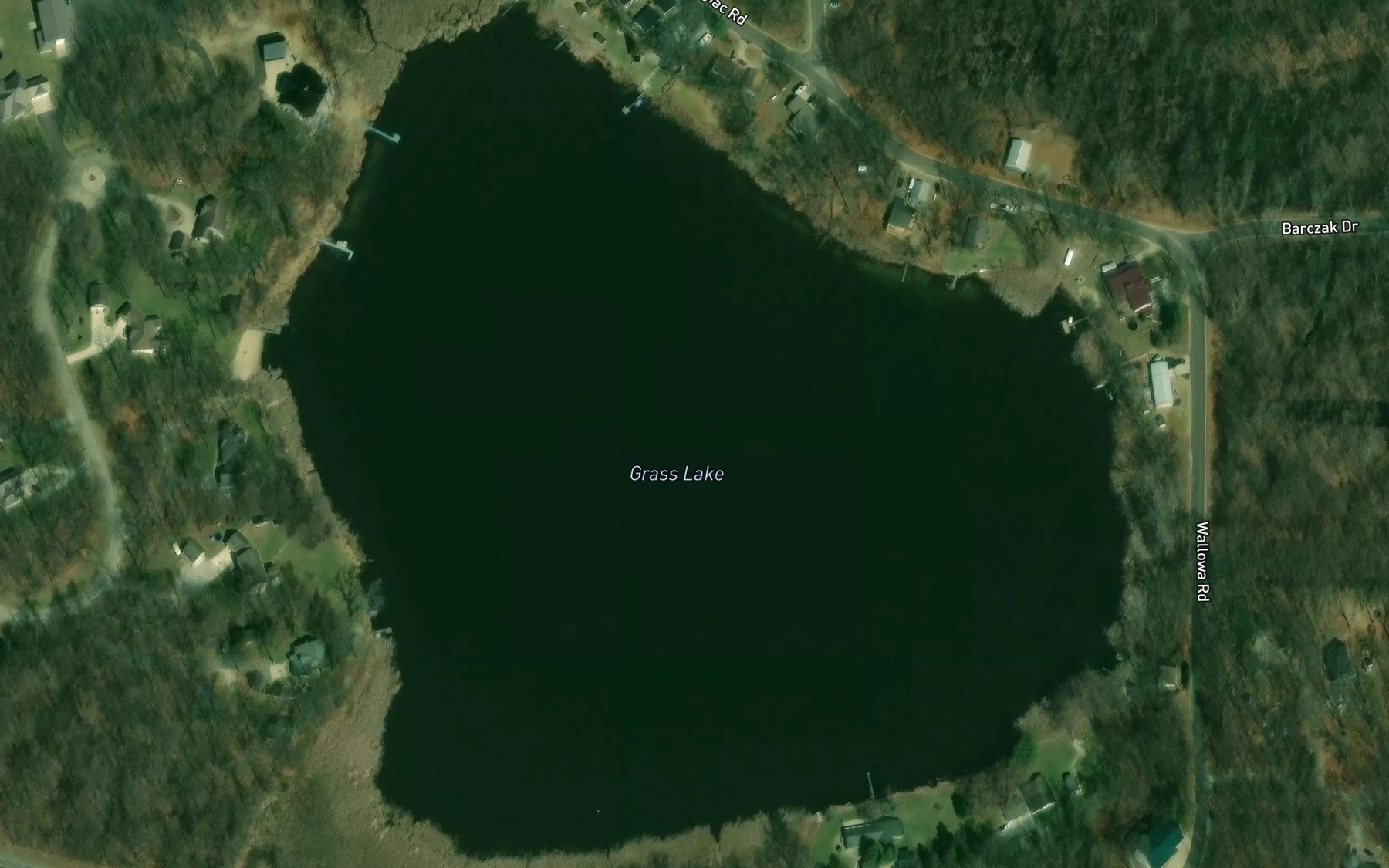 Satellite map of the Grass Lake