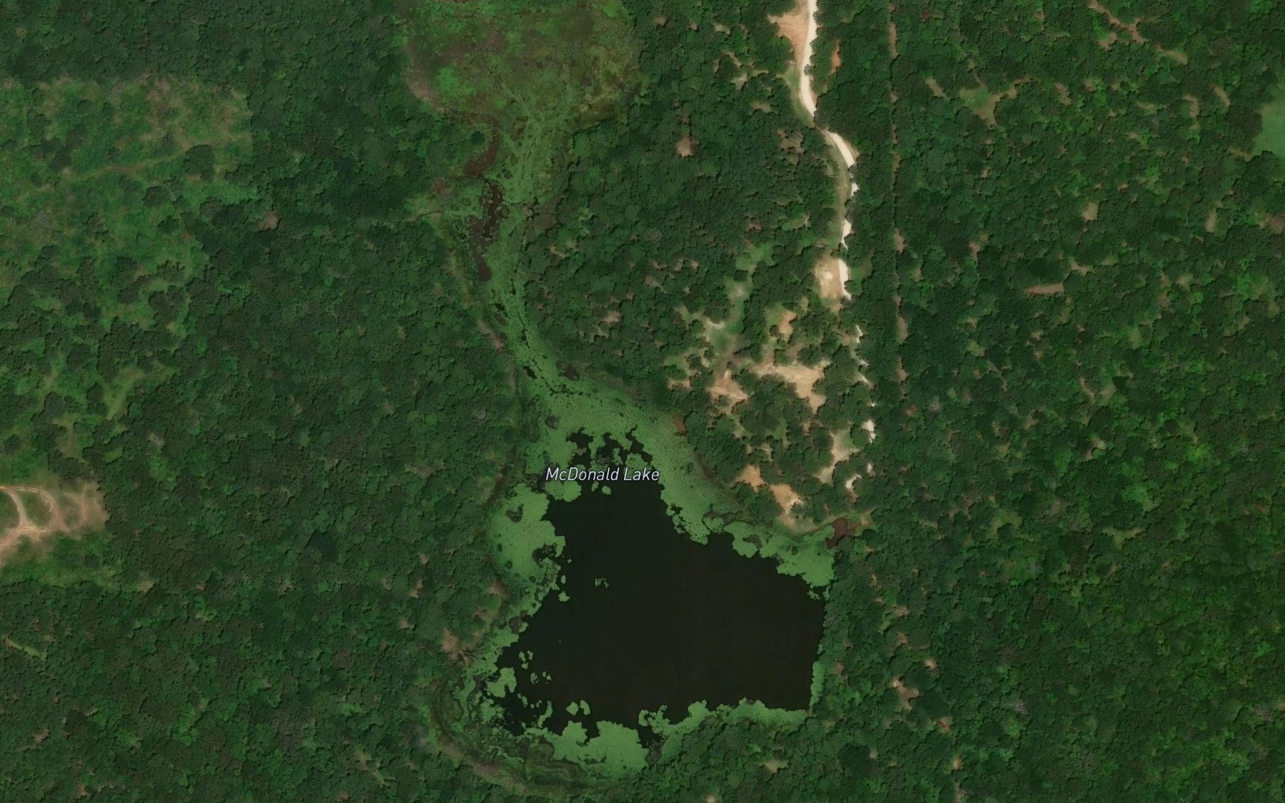 Satellite map of the McDonald Lake