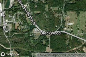 Blackwood Spring
