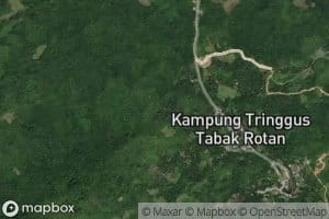 Sungai Bong