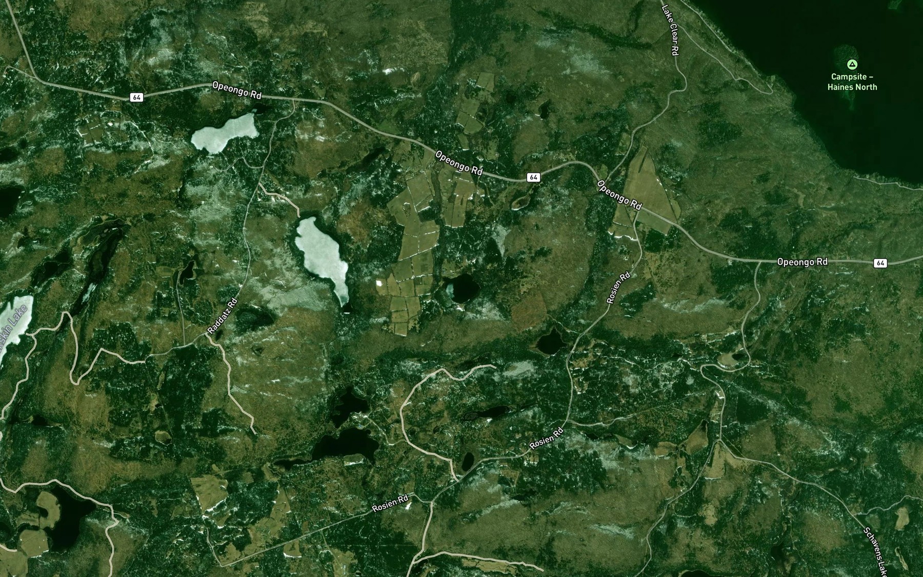 Satellite map of the Basils Lake