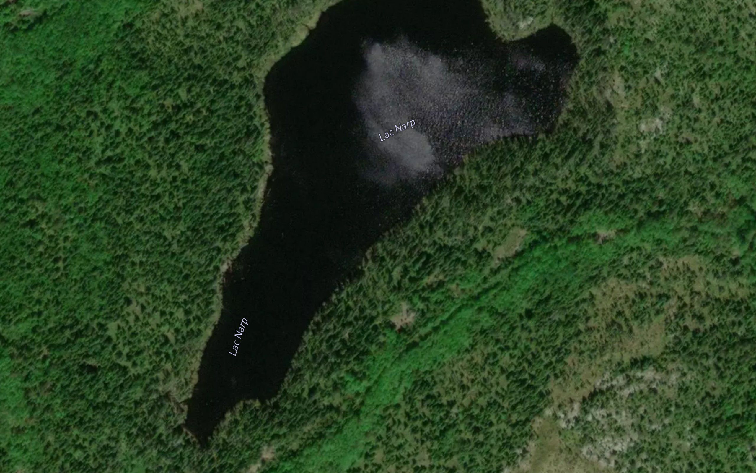 Lac Narp